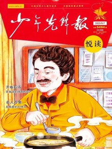 少年先锋报期刊
